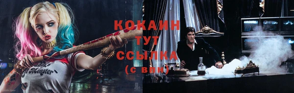 дживик Тында